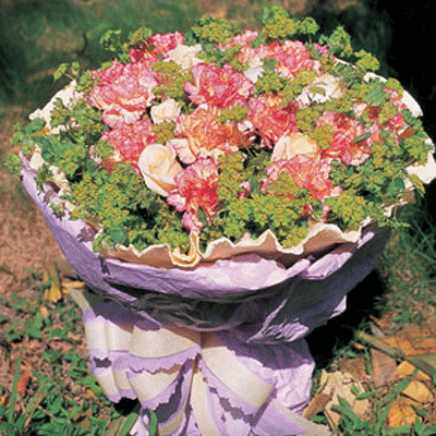 【B-098】母親節花束 母親節康乃馨花束-鑲邊粉康乃馨花束