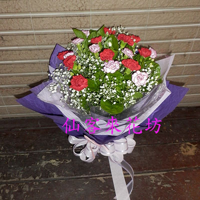 【B-203】母親節 感恩花束 康乃馨花束