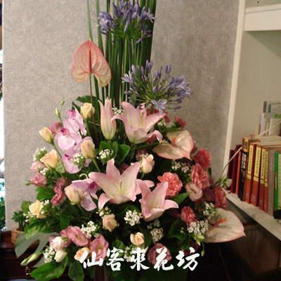 【A-042 】花店精選:盆花設計-美滿