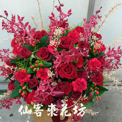 【A-516】盆花-祝賀盆花、桌上盆花、開幕盆花