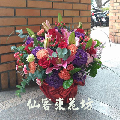 【A-535】盆花-祝賀盆花、桌上盆花