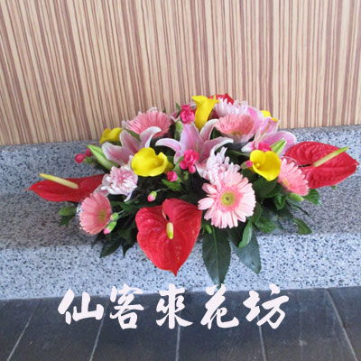 【A-507】講台桌花,會議桌花,盆花設計,水平桌上盆花