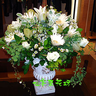 【A-049】世貿展覽盆花,開幕盆花,喜慶盆花,藝術盆花