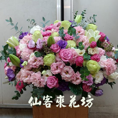 【A-545】世貿展覽盆花,開幕盆花,喜慶盆花,藝術盆花