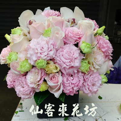 【A-524】世貿展覽盆花,開幕盆花,喜慶盆花,藝術盆花