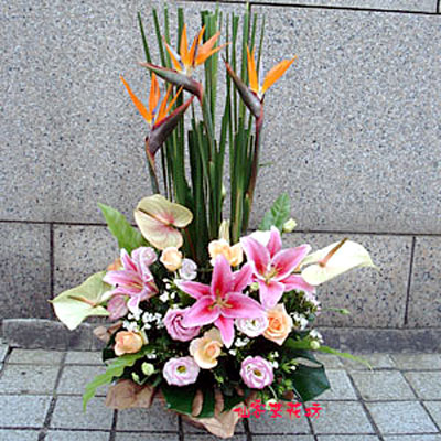 【A-090】祝賀盆花,開幕盆花,喜慶盆花,藝術盆花
