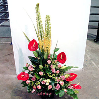 【A-127】祝賀盆花,開幕盆花,喜慶盆花,藝術盆花