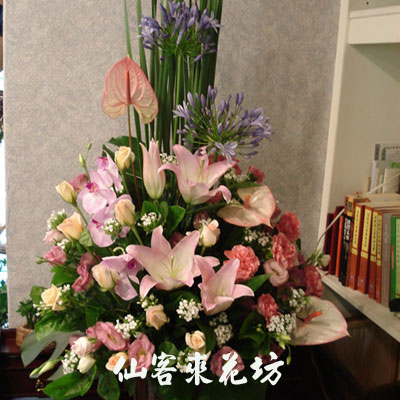 【A-042 】花店精選:盆花設計-美滿