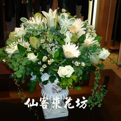 【A-068】世貿展覽盆花,開幕盆花,喜慶盆花,藝術盆花