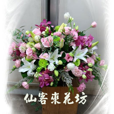 【A-525】世貿展覽盆花,開幕盆花,喜慶盆花,藝術盆花