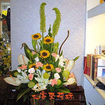 【A-018】開幕盆花、祝賀盆花、生日盆花、榮陞盆花、喬遷盆花、盆花-出類拔萃盆花