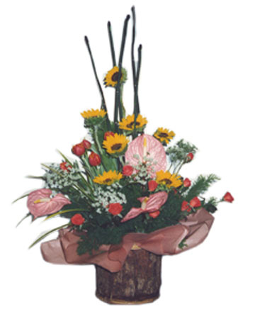 【A-036】祝賀盆花,桌上盆花,盆花設計,盆花推薦