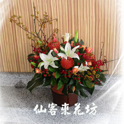 【A-564】祝賀盆花,桌上盆花,盆花設計,盆花推薦