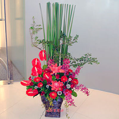 【A-197】祝賀盆花,桌上盆花,盆花設計,盆花推薦