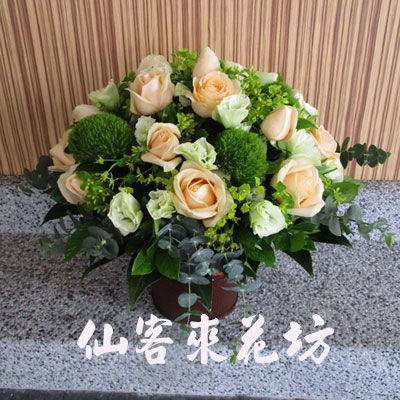 【A-508】講台桌花,會議桌花,盆花設計,水平桌上盆花