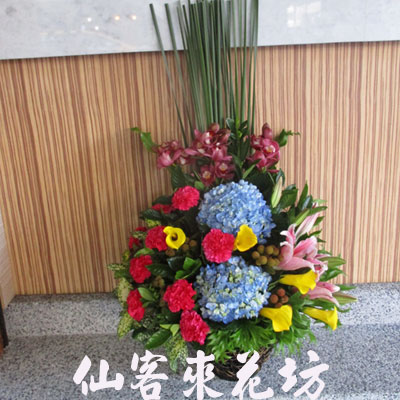 【A-503】精緻盆花/發表會/主持講台花(榮陞.榮任.喬遷.開幕.展覽.活動.婚禮)