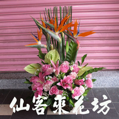 【A-559】精緻盆花祝賀盆花會場佈置盆花台北花店推薦