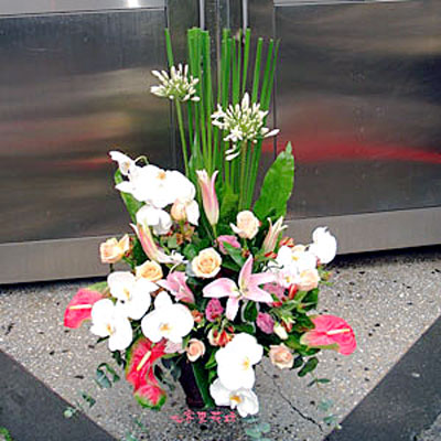【A-120】祝賀盆花,桌上盆花,盆花設計,盆花推薦