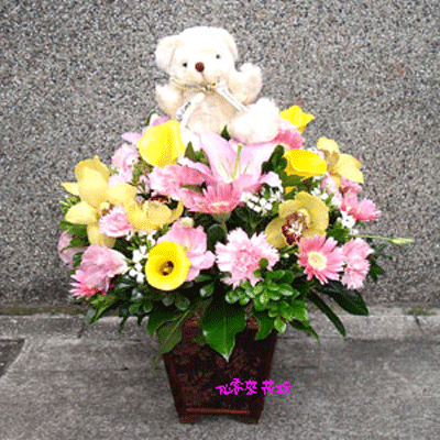 【G-031】盆花-溫馨小熊祝福盆花