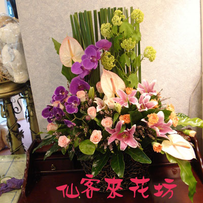 【A-131】祝賀桌上盆花,開幕盆花,喜慶盆花,藝術盆花