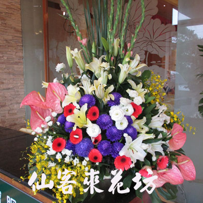 【A-509】盆花-祝賀盆花、桌上盆花
