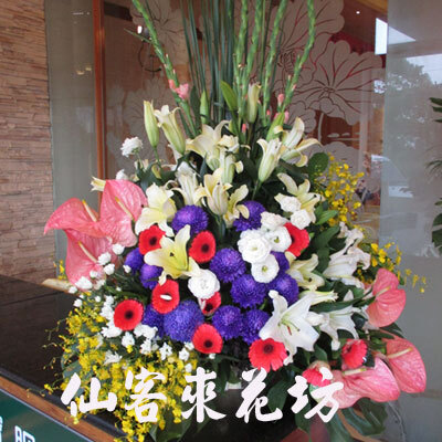 【A-509】盆花-祝賀盆花、桌上盆花