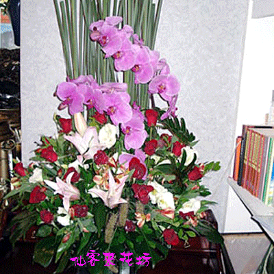 【A-047】世貿展覽盆花,開幕盆花,喜慶盆花,藝術盆花