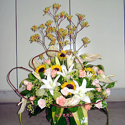 【A-124】世貿展覽盆花,開幕盆花,喜慶盆花,藝術盆花