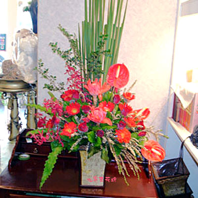 【A-198】祝賀盆花,桌上盆花,盆花設計,盆花推薦